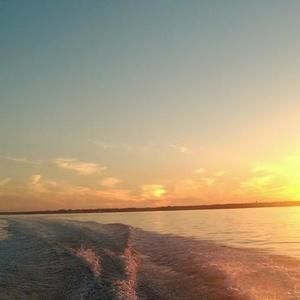 Meet your Posher, Ken